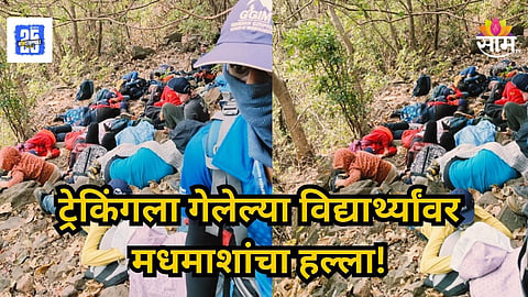 Pune : ट्रेकिंगला गेलेल्या विद्यार्थ्यांवर मधमाशांचा हल्ला, ३५ विद्यार्थी गंभीर जखमी; रायगडावरील थरकाप उडवणारी घटना