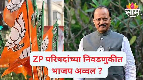 zp election exit poll 