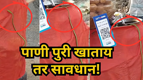 Viral Video : सावधान! मुंबईत पाणी पुरीच्या ठेल्यावर आढळला साप, व्हिडिओ पाहून थरकाप उडेल