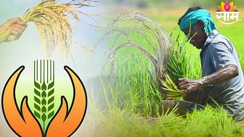  crop insurance