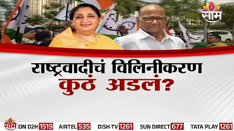 ncp politics