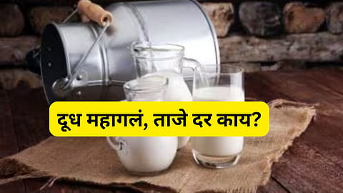 milk rate hike news 