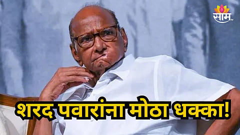 Sharad Pawar: भाजपकडून शरद पवारांना मोठा धक्का, बड्या नेत्याच्या मुलासह १५०० कार्यकर्त्यांनी हाती घेतलं 'कमळ' 
