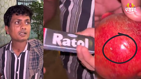 Mumbai Malad Fruit Seller Viral Video