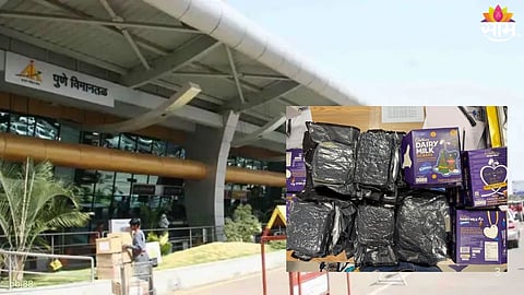 Hydroponic Ganja  Smuggling at Pune Airport : 