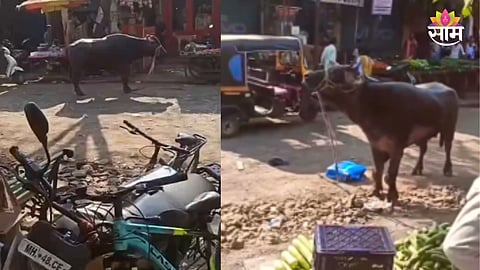 Viral Video