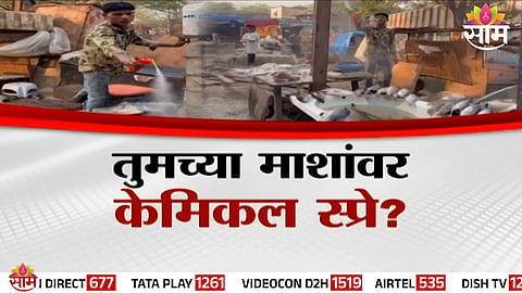 A shocking viral video allegedly shows a fish vendor spraying cockroach killer on fish in Vasai, raising serious food safety concerns.