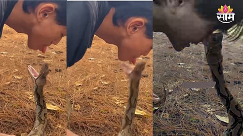 Snake Bites Man