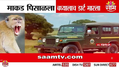 forest department  dart hits man  :