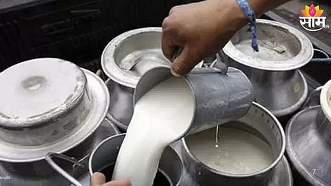 Adulterated Milk: 