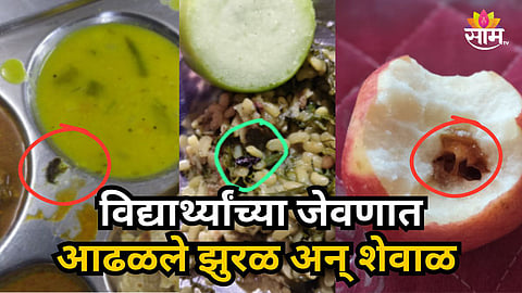 Latur girls boys student hostel found cockroach algae in meal food and water