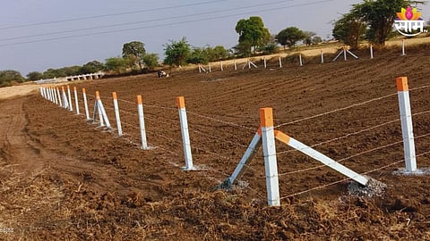 Farm Boundary Conflicts: 