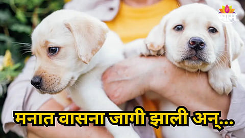 Mumbai : केअर टेकरचं अमानवी कृत्य, २ कुत्र्यांवर अत्याचार; मुंबईतील धक्कदायक प्रकार