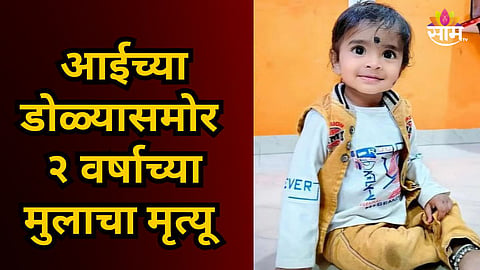 Shocking : घराच्या जिन्यावर बसलेल्या कोब्राने घेतला २ वर्षीय मुलाचा जीव; संभाजीनगरमध्ये खळबळ