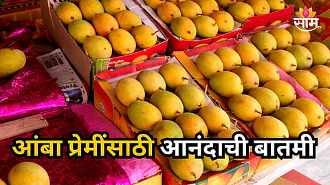 Mango : आंबा प्रेमींसाठी खुशखबर! अक्षय्य तृतीयेपूर्वी हापूसच्या दरात घसरण, किती आहे डझनाचा भाव?