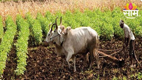 maharashtra land distruction 