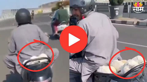 BHOPAL VIRAL VIDEO: GOATS FOUND INSIDE SCOOTER BOOT SHOCK INTERNET