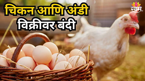 BIRD FLU OUTBREAK IN NAVAPUR: CHICKEN AND EGG SALES BANNED, HUGE POULTRY LOSSES