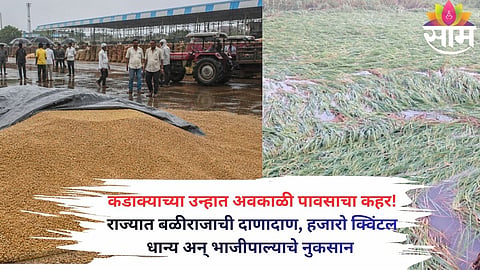 Unseasonal rain and hailstorm damage crops and soak wheat stocks in Yavatmal market yard