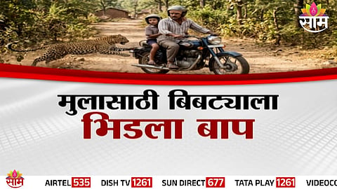 A courageous father risks his life and fights off a leopard to save his young son during a shocking attack in Junnar.
