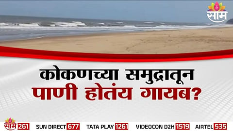 Sea water recedes dramatically at Konkan and Surat beaches, exposing vast stretches of sand during extreme low tide.