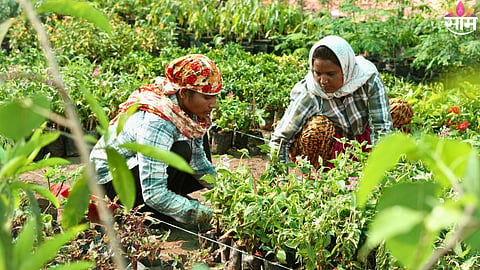 Tribal women employment project