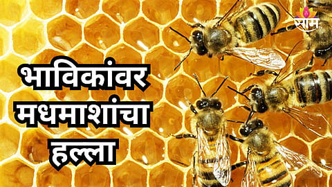 BANESHWAR TEMPLE BEE ATTACK: 150 DEVOTEES INJURED IN BHOR PUNE