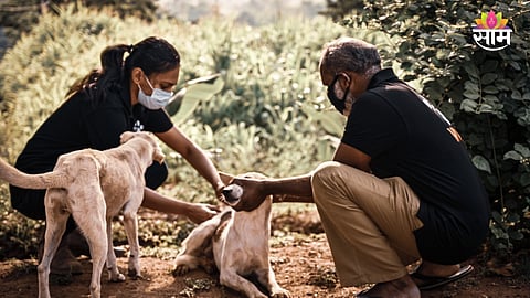 Canine Distemper Virus