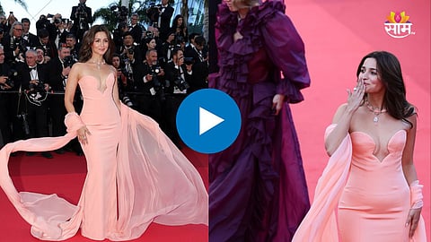 Alia Bhatt Ignored By Paparazzi At Cannes 2026 