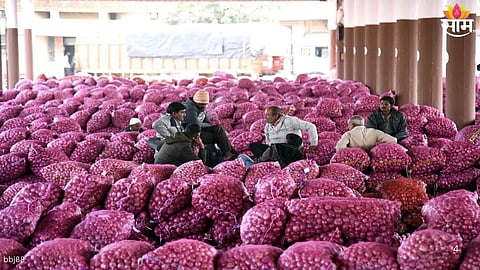 Government Decision On For Onion Farmers