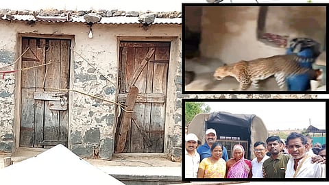 Leopard Entered House