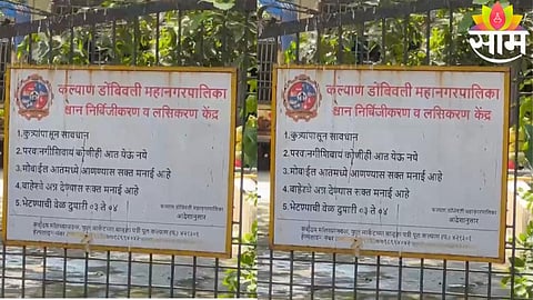 Bodies of five stray dogs found dumped in a drain in Kalyan, triggering outrage and police action against KDMC-linked officials.