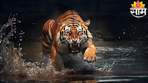 Four women killed after a sudden tiger attack in Gunjewahi forest area of Chandrapur district, Maharashtra.