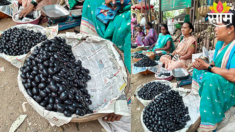 Fresh jamun being sold in Badlapur market as prices surge due to inflation and rising transport costs.
