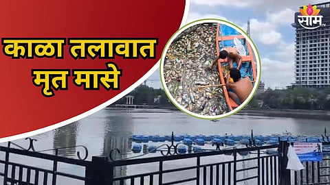 KALYAN KALA TALAO FISH DEATHS CREATE PANIC AMONG CITIZENS