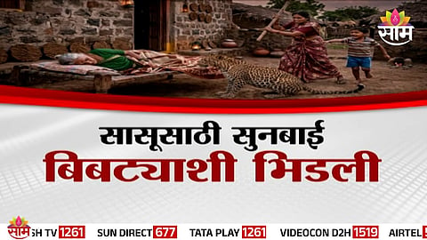 A brave daughter-in-law and her grandson confront a leopard to save an elderly woman in Inamgaon, Pune.