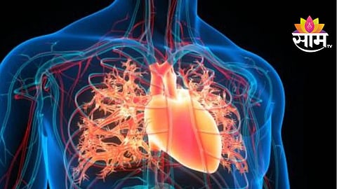 best exercises after heart attack recovery