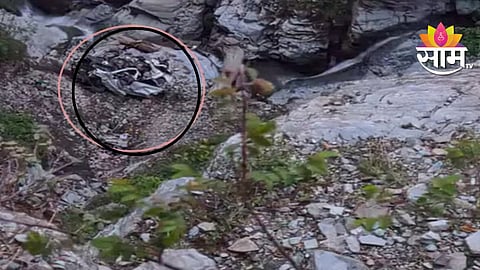 Himachal Pradesh Accident