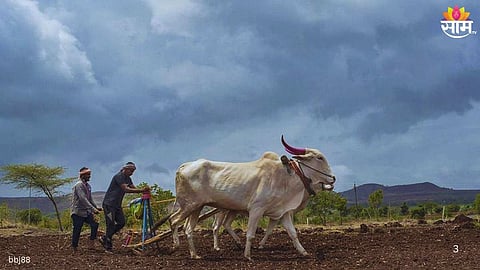 Maharashtra Farm Loan Waiver 