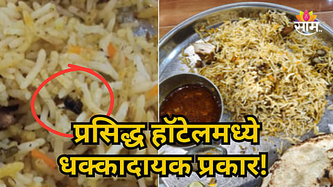 COCKROACH FOUND IN BIRYANI AT DHARASHIV'S MATOSHREE BIRYANI, CUSTOMER ALLEGES MISBEHAVIOUR