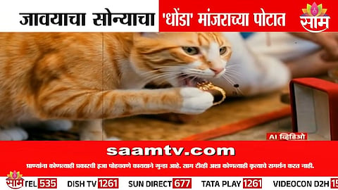 Viral Beed Story