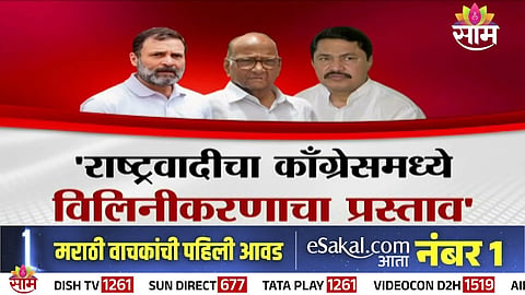 Sharad Pawar and Congress leaders amid rising speculation over a possible merger between NCP and Congress in Maharashtra politics.