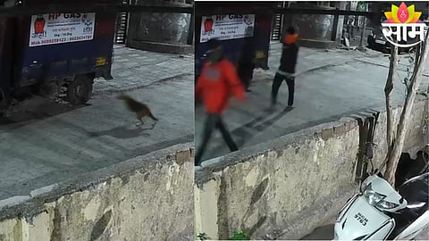 Masked youths carrying sickles roam inside a Badlapur housing society at 3:30 AM, captured on CCTV camera.