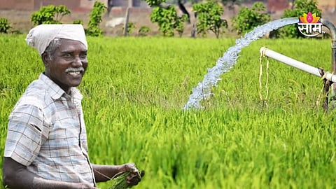 Maharashtra agriculture news