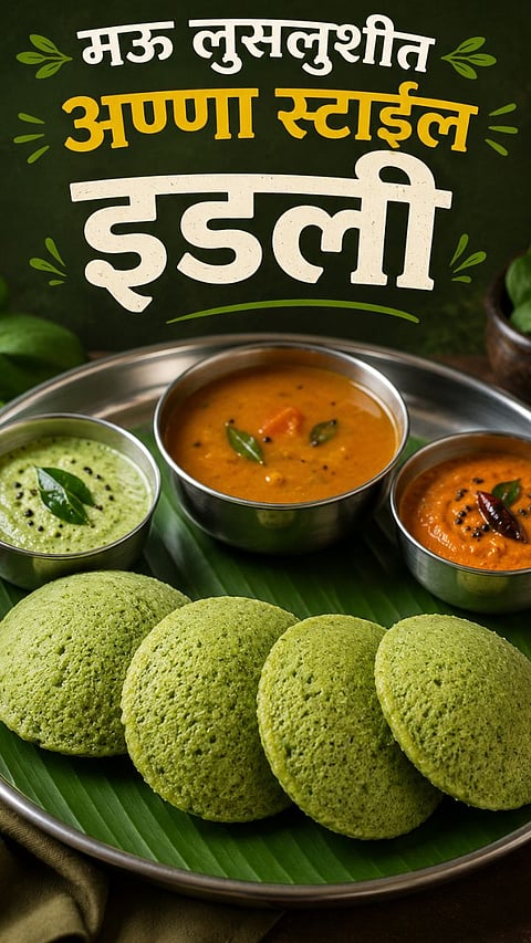 Palak Idli Recipe How to make soft palak idli at home 
