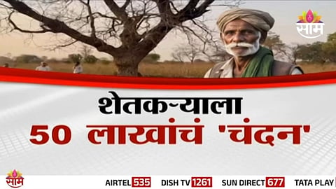 Yavatmal Farmer Issue: शेतकऱ्याला 50 लाखांचं 'चंदन', नशिबाचा झाला खेळ; पैसे परत करण्याची वेळ 