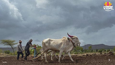 Farmer Loan Waiver Update: 