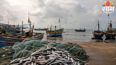 Fishing boats anchored along the Maharashtra coast as the extended monsoon fishing ban remains in force till August 15.