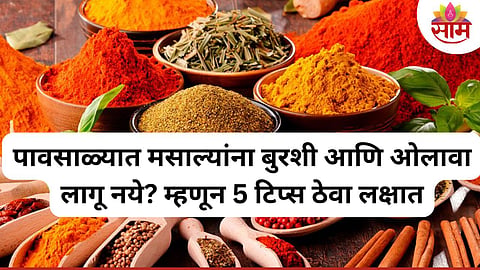 Monsoon Spice Storage Tips