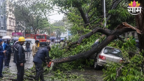 A fallen tree in Santacruz injures eight people amid rising tree collapse incidents during heavy rains in Mumbai.